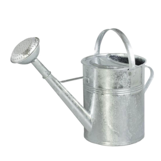 Gieter verzinkt met broes 9 liter