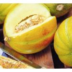 Hortitops Meloen Ogen