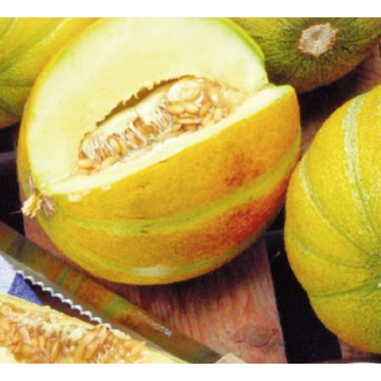 Hortitops Meloen Ogen