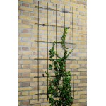 Metalen klimrek 150x60cm groen