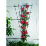 Metalen planten klimrek v-vorm