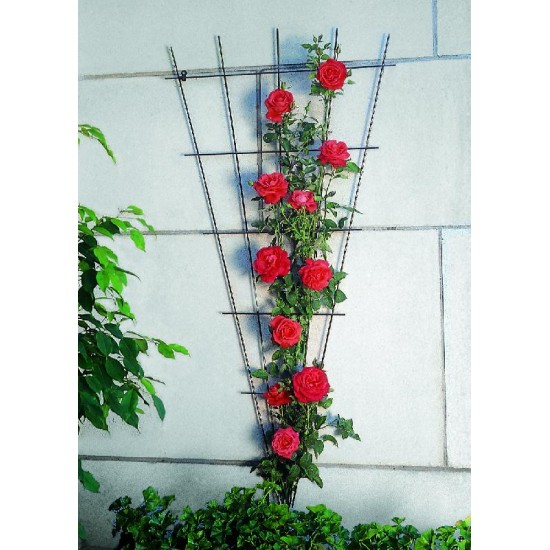 Metalen planten klimrek v-vorm