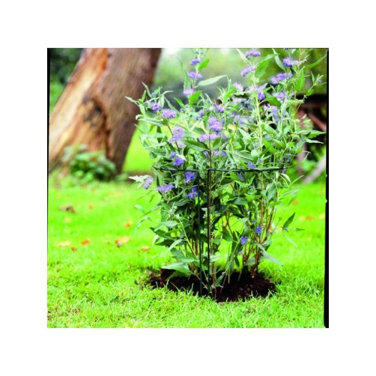 Plantenstake 80x40x22cm