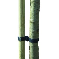 Spijker boomband met gesp 90cm 38mm rubber