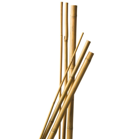 Bamboestok 120cm 5 stuks