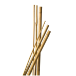 Bamboestok 60cm 6/8mm 10 stuks