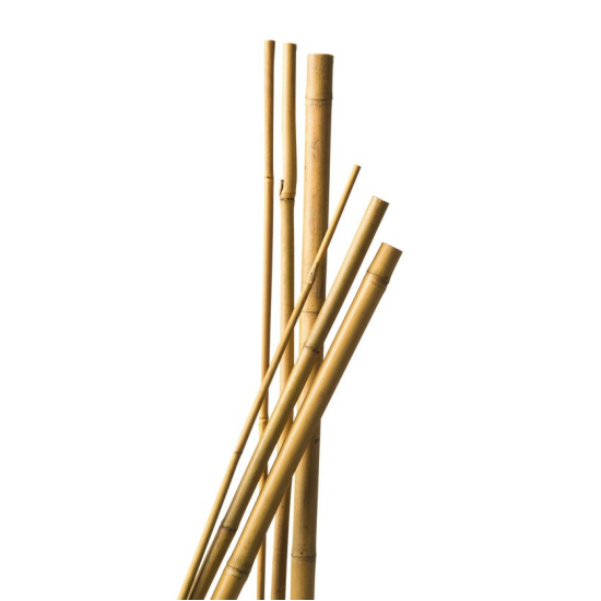 Bamboestok 60cm 6/8mm 10 stuks