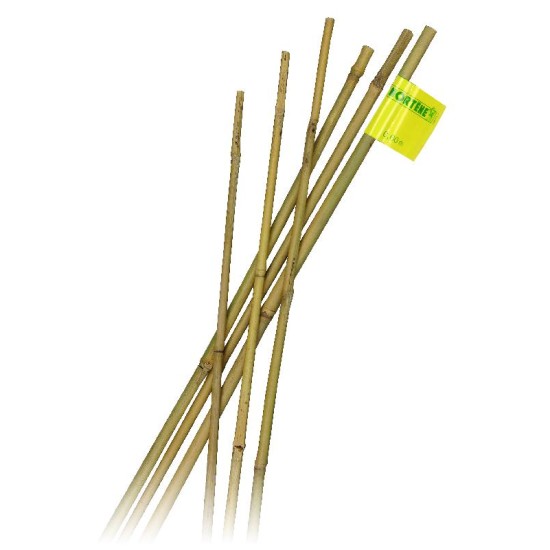 Bamboestok 60cm 6/8mm 10 stuks