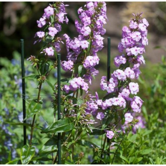 Plantenstok groen 120cm 11mm