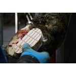 Easy Hoof klauwblokje