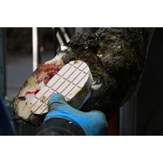 Easy Hoof klauwblokje