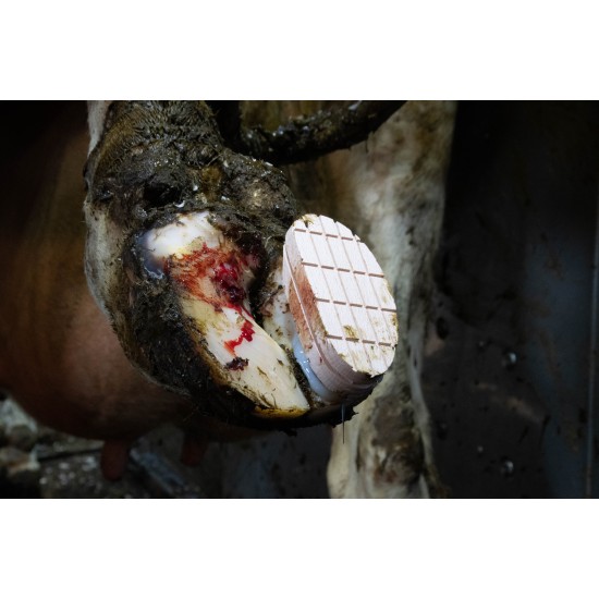 Easy Hoof klauwblokje