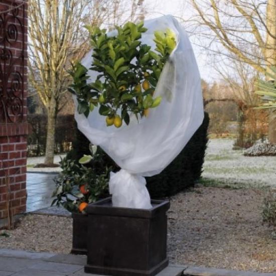 Nature winter plantenhoes 2x5 meter