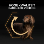 Pro Plan adult small & mini 7kg