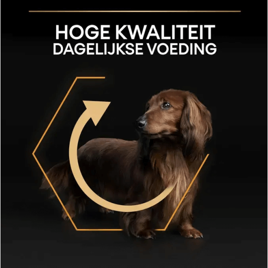 Pro Plan adult small & mini 7kg