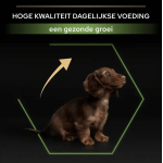 Pro Plan puppy small & mini 3kg