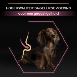 Droge hondenbrokken voor gevoelige kleine honden