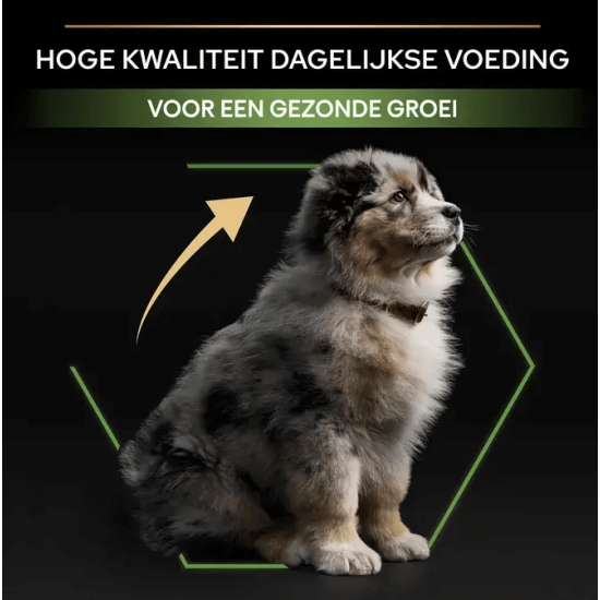 Pro plan puppy medium kip 3KG