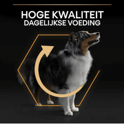 Pro Plan Adult Medium 3kg