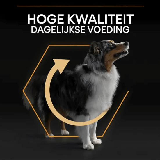 Pro plan adult medium kip 3KG