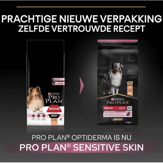 voer hond gevoelige huid