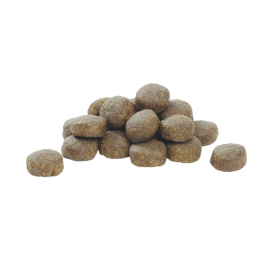 Pro plan puppy large robust 12kg