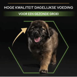 Pro Plan Puppy Large Robust Kip 12kg