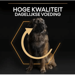 Pro Plan Adult Large Robust Kip 14kg