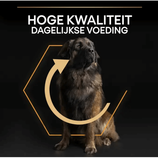 Pro Plan Adult large robust kip 14kg