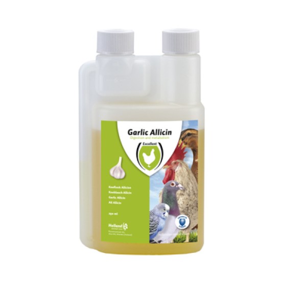 Garlic Allicin vloeibaar 250ml