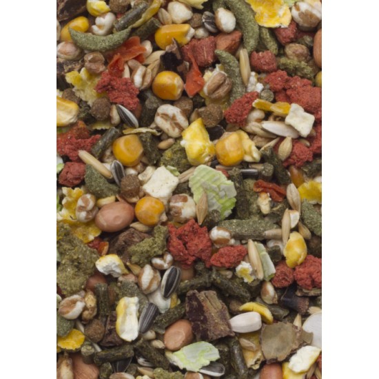 Voer voor kleine knagers