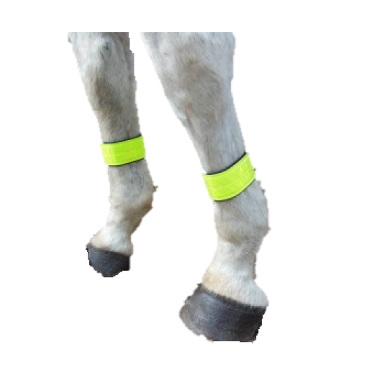 Been straps refelecterend per paar