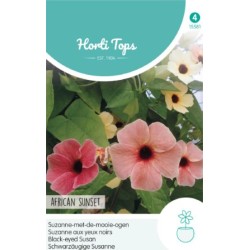 HortiTops Thunbergia Suzanne met de mooie ogen African Sunset HortiTops Thunbergia Suzanne met de mooie ogen African Sunset