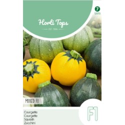 HortiTops Courgette Ronde F1 soorten gemengde kleuren HortiTops Courgette Ronde F1 soorten gemengde kleuren