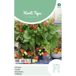 Hortitops hangaardbei Ruby Ann F1