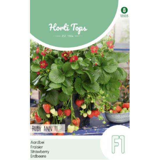 Hortitops hangaardbei Ruby Ann F1
