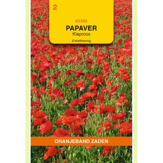 OBZ Papaver Klaproos enkelbloemig (gewone)