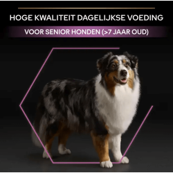 Pro Plan Adult 7+ Medium Large 3kg