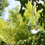 Vliegenverjager glazen bol