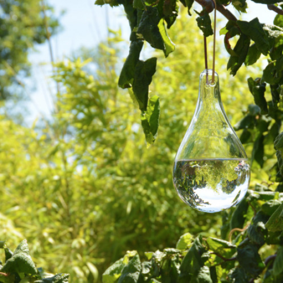 Vliegenverjager glazen bol